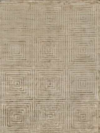 Exquisite Rugs Dove Embossed 3574 Khaki Area Rug main image