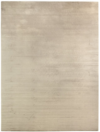 Exquisite Rugs Honeycomb 3601 Beige Area Rug main image