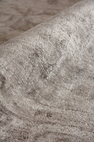 Exquisite Rugs Antique'd Silk 3707 Taupe Area Rug Pile Image