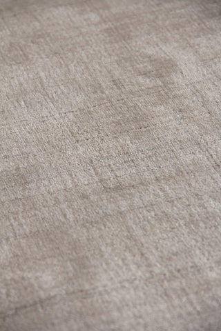 Exquisite Rugs Purity 3775 Silver Area Rug Lifestyle Image Feature