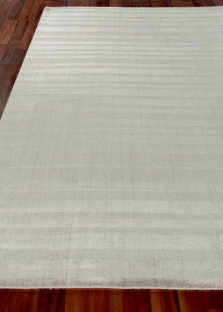 Exquisite Rugs Robin Stripe 3786 Taupe Area Rug Closeup Image