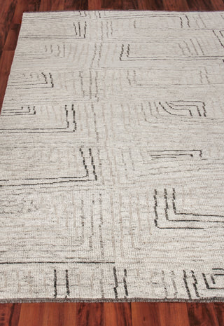 Exquisite Rugs Aldridge 3807 Ivory/Gray/Beige Area Rug Closeup Image