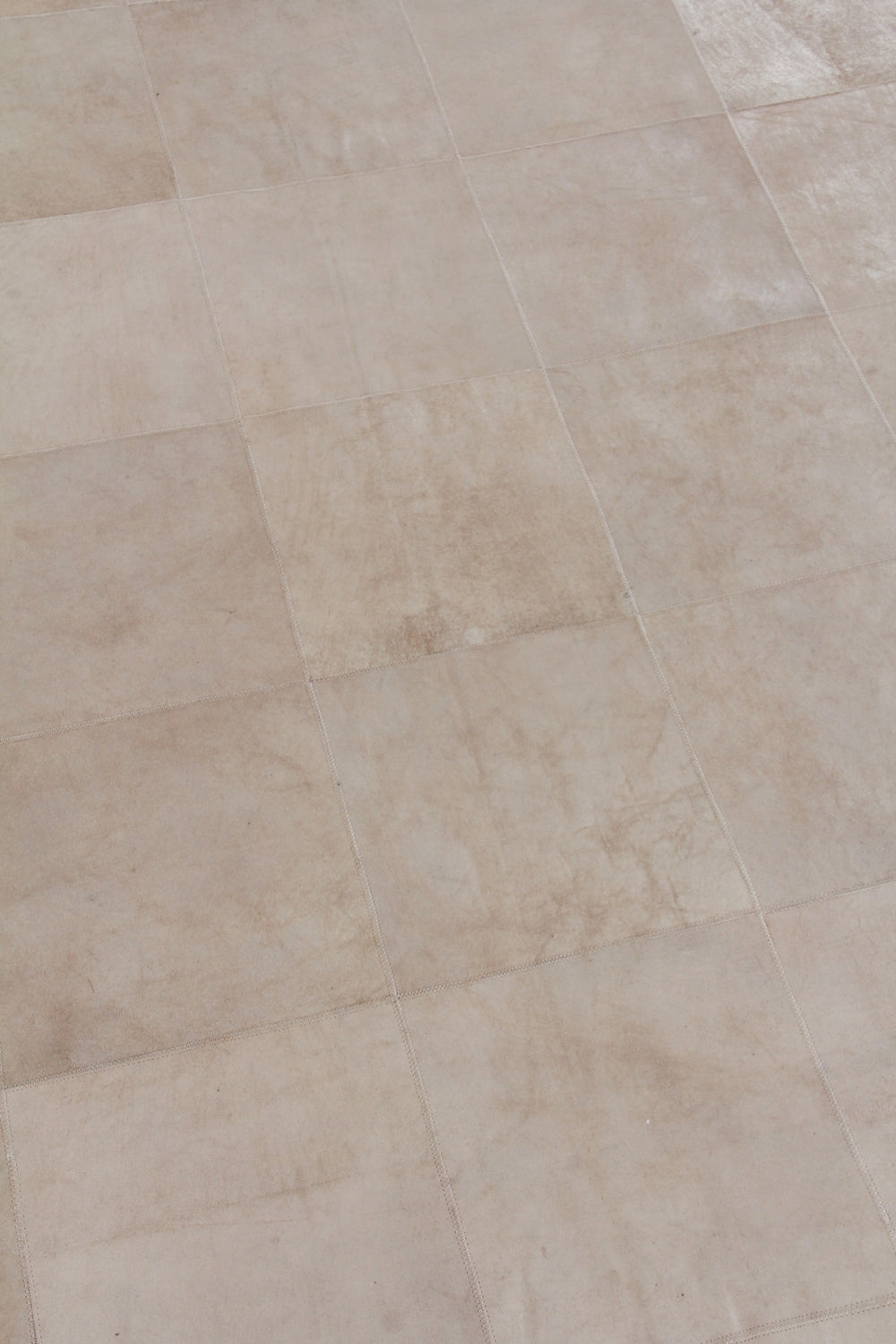 Exquisite Rugs Distressed Suede 3822 Beige Area Rug Lifestyle Image Feature