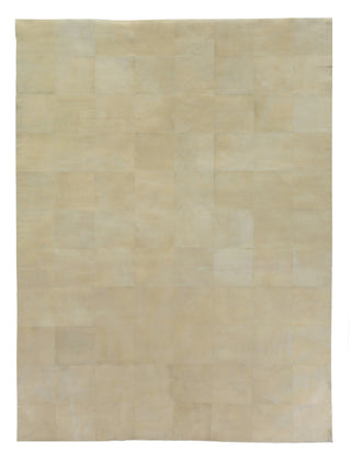 Exquisite Rugs Distressed Suede 3823 Soft Gold Area Rug main image
