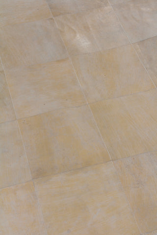 Exquisite Rugs Distressed Suede 3823 Soft Gold Area Rug Lifestyle Image Feature