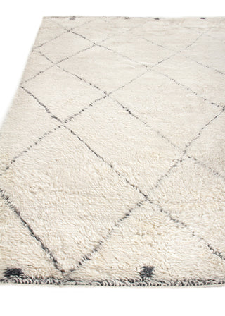 Exquisite Rugs Moroccan 3854 Ivory/Gray Area Rug Closeup Image