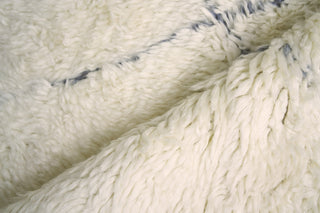 Exquisite Rugs Moroccan 3854 Ivory/Gray Area Rug Pile Image