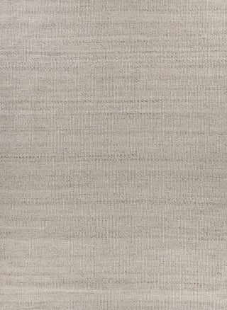 Exquisite Rugs Hesse 3859 Beige Area Rug by The Met main image