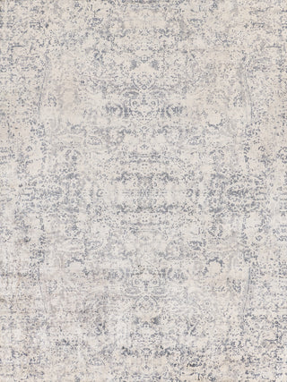 Exquisite Rugs Cassina 3904 Gray/Ivory Area Rug main image