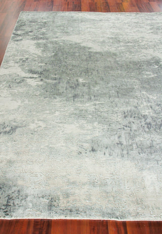 Exquisite Rugs Cassina 3914 Dark Gray/Gray Area Rug Closeup Image