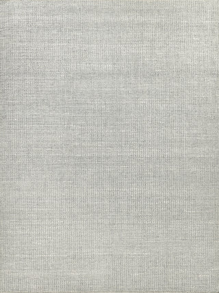 Exquisite Rugs Ferrus 3955 Silver/Ivory Area Rug by The Met main image