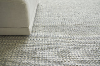 Exquisite Rugs Ferrus 3955 Silver/Ivory Area Rug by The Met Lifestyle Image Feature