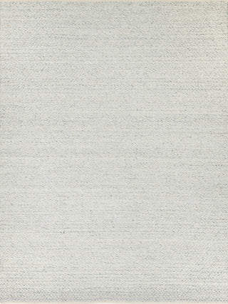 Exquisite Rugs Rialto 3957 Light Gray Area Rug by The Met main image