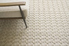 Exquisite Rugs Monroe 3961 Beige Area Rug Closeup Image
