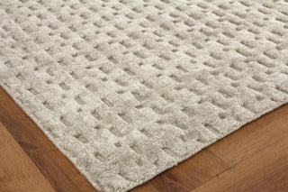 Exquisite Rugs Monroe Silk 3971 Light Taupe Area Rug Corner Image