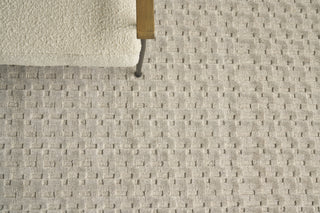 Exquisite Rugs Monroe Silk 3971 Light Taupe Area Rug Detail Image