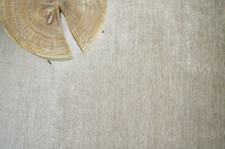 Exquisite Rugs Crush 3988 Ivory/Beige Area Rug Detail Image