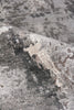 Exquisite Rugs Laureno 4024 Gray/Charcoal Area Rug Pile Image