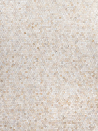 Exquisite Rugs Mosaic Leather 4058 Ivory Area Rug main image