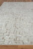 Exquisite Rugs Vista 4341 Beige Area Rug Closeup Image