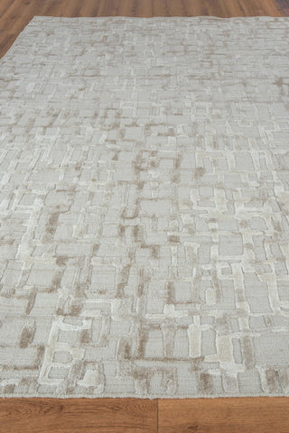 Exquisite Rugs Vista 4341 Beige Area Rug Closeup Image