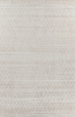 Exquisite Rugs Castelli 4358 Light Beige Area Rug main image