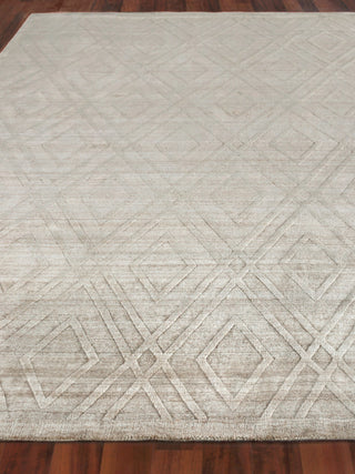 Exquisite Rugs Castelli 4358 Light Beige Area Rug Closeup Image