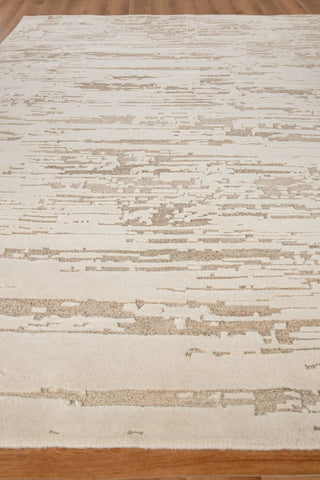 Exquisite Rugs Platinum 4377 Beige Area Rug Closeup Image