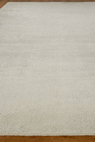 Exquisite Rugs Pearl 4419 Beige Area Rug Closeup Image