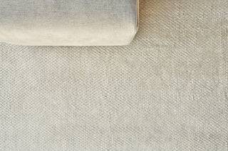 Exquisite Rugs Pearl 4419 Beige Area Rug Detail Image