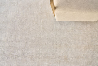 Exquisite Rugs Tangaro 4435 Light Beige Area Rug Detail Image