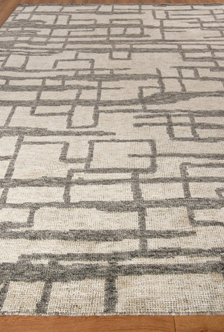 Exquisite Rugs Aldridge 4483 Silver/Gray Area Rug Closeup Image