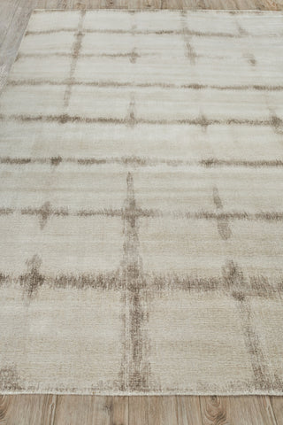 Exquisite Rugs Chroma 4490 Beige/Brown Area Rug Closeup Image