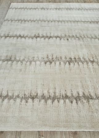 Exquisite Rugs Chroma 4494 Beige/Brown Area Rug Closeup Image