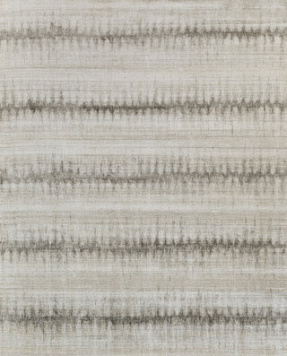 Exquisite Rugs Chroma 4495 Charcoal/Gray Area Rug main image