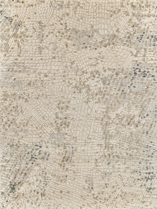 Exquisite Rugs Overture 4521 Beige Area Rug main image