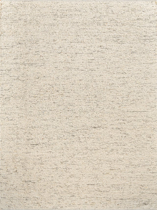 Exquisite Rugs Tocayo 4573 Ivory/Gray Area Rug