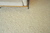 Exquisite Rugs Tocayo 4574 Ivory Area Rug Detail Image