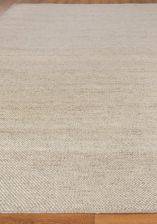 Exquisite Rugs Rhodes 4595 Beige Area Rug Closeup Image