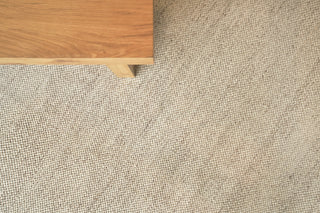 Exquisite Rugs Rhodes 4595 Beige Area Rug Detail Image