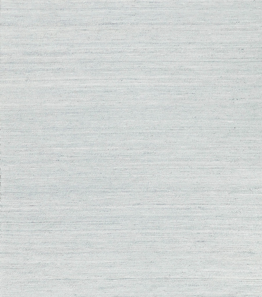 Exquisite Rugs Tocayo 4596 Ivory/Light Blue Area Rug main image