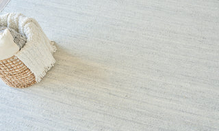 Exquisite Rugs Tocayo 4596 Ivory/Light Blue Area Rug Detail Image