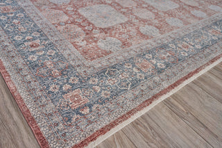 Exquisite Rugs Heritage 4613 Red/Navy Area Rug by The Met Closeup Image