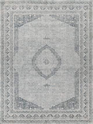 Exquisite Rugs Heritage 4624 Light Blue/Rust Area Rug by The Met main image