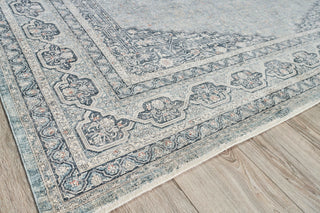 Exquisite Rugs Heritage 4624 Light Blue/Rust Area Rug by The Met Closeup Image