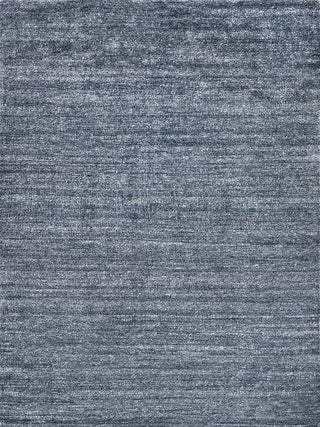 Exquisite Rugs Plush 4663 Charcoal Area Rug main image