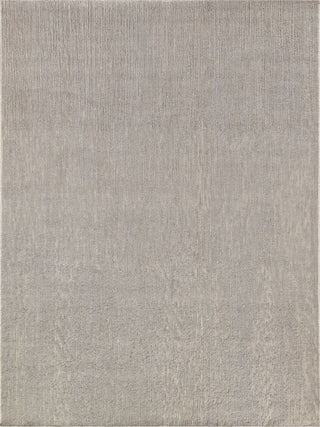 Exquisite Rugs Triana 4684 Gray Area Rug main image