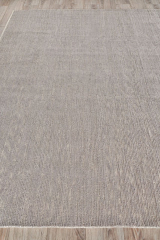 Exquisite Rugs Triana 4684 Gray Area Rug Closeup Image