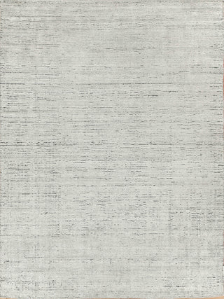Exquisite Rugs Montero 4691 Silver/Gray Area Rug by The Met main image