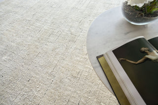 Exquisite Rugs Montero 4692 Ivory/Gray Area Rug Lifestyle Image Feature